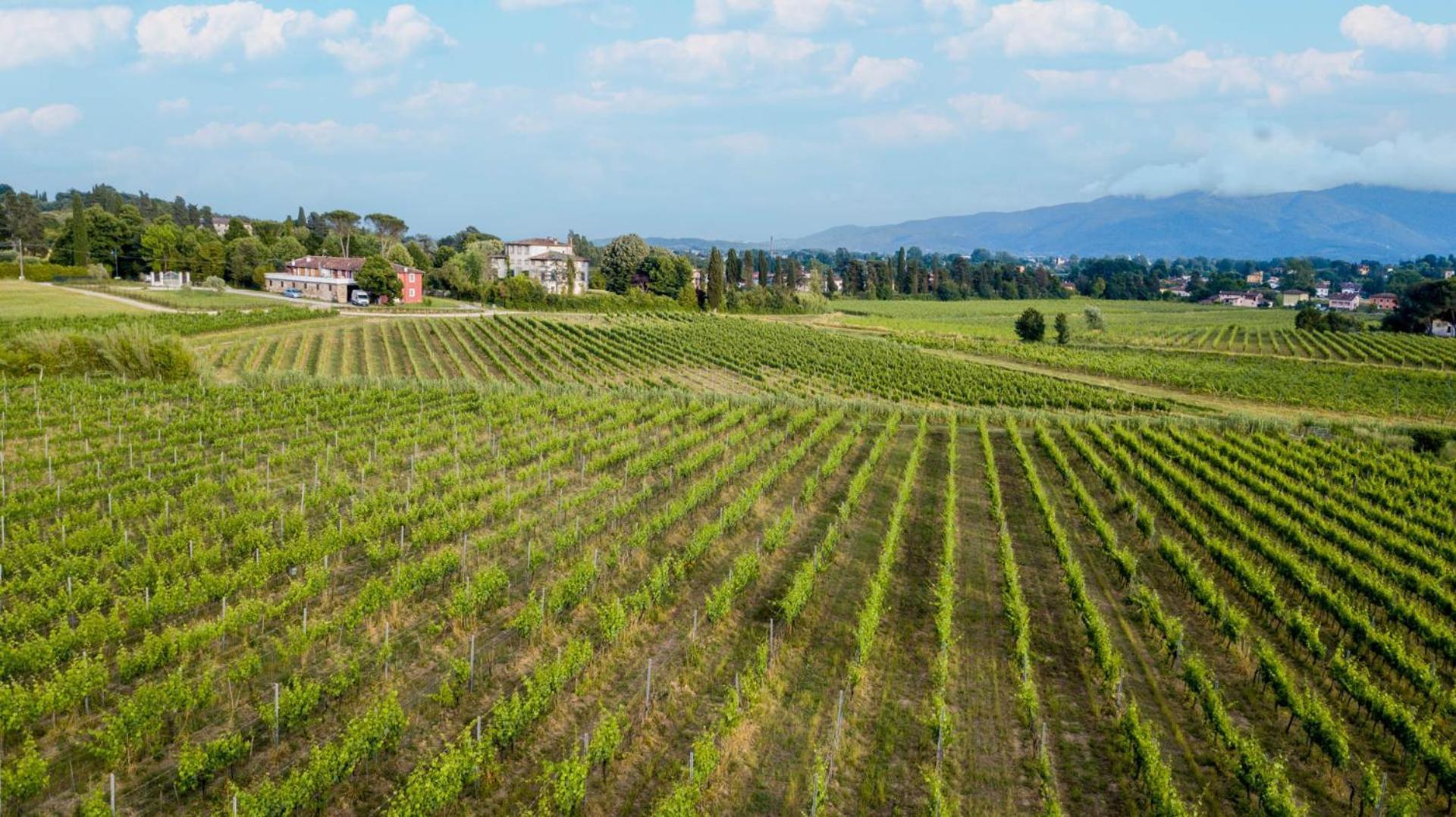 Cicale 3 Bedrooms Farmhouse With Shared Pool Lucca Exterior photo
